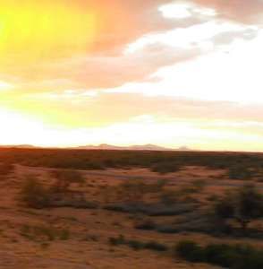 Meet your Posher, Oliver